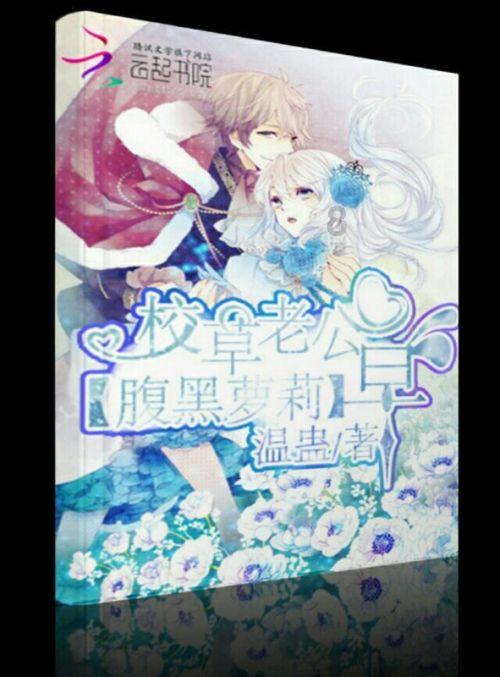 探索哪位大神知道这是玛瑙石还是化石?,分享思想与见解