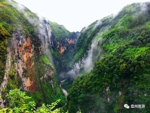 埃琳娜房间清洁