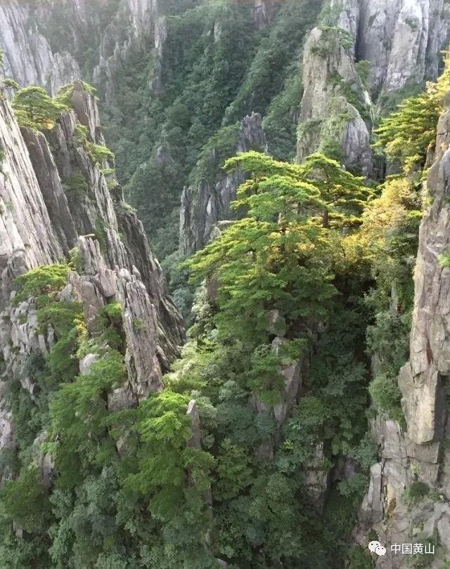 余氯自动监测设备